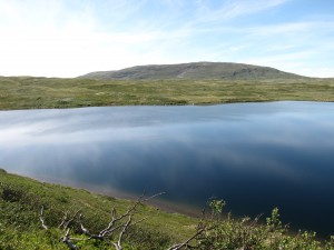 For tida er det fint vær og flott å fiske på Kvikne!