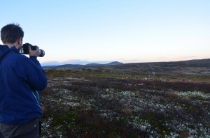 Nå tar også villreinen bilde av sine artsfrender og vidda.