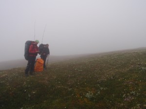 Om du vet hvor du har gått i Forollhogna er det fint om du svarer på spørreskjema i kassene/på buene.