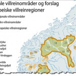 Forollhogna er nå foreslått tatt inn i den nordligste av de to foreslåtte europeiske villreinregioner.
