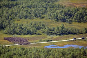 De første jaktdagene var preget av mye rein i området rundt Svartsjøen på Kvikne (Forollhogna). Foto: Ingebrigt Storli