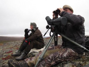 Stein Raae og Roy Andersen teller rein i Setertangen/Storbekkhaugan. Foto: Kristin L Austvik