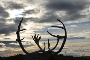 Forslag til nye jakttider for jaktbart vilt i Norge sendes nå ut på høring fra Miljødirektoratet.