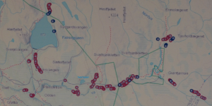 På strekninga mellom Svartsjøen og Grøntjønnan på Kvikne går det et villreintrekk over elva Ya. Et massivt nett av fangstgroper viser at dette trekket har vært i bruk i uminnelige tider. Reinen benytter fortsatt denne trekkvegen. Trafikk og forstyrrelser etter vegen som går parallelt med elva Ya gjør imidlertid at reinen i dag ofte bruker lang tid på kryssinga og kan bli stående «fast» her.