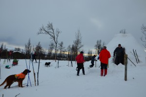 Lokalt bosatte (evt. rettighetsinnehaver) og hytteeiere i områdene rundt Forollhogna fjellområde inviteres med i en spørreundersøkelse.