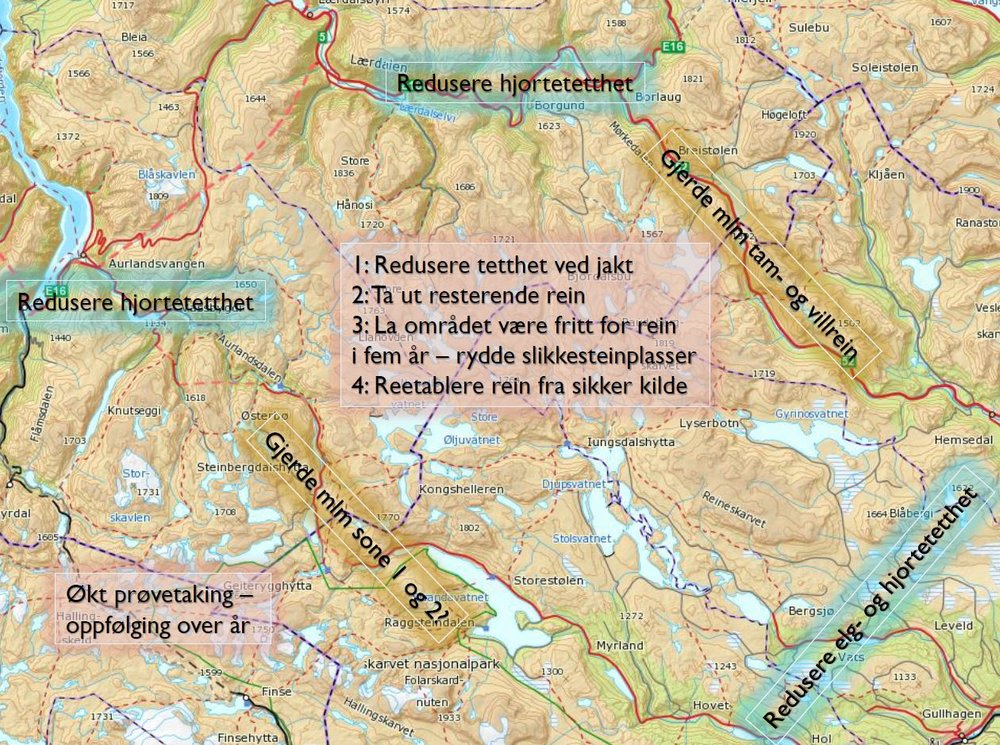 Anbefalte tiltak. Klikk for stort bilde. Figur: Bjørnar Ytrehus/NINA