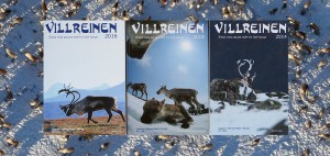 Nå kan du bli redaktør for årboka "Villreinen". Foto: Arne Nyaas